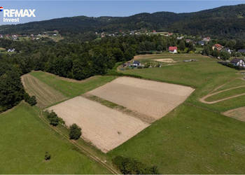 Prywatny las 3331 m2 - Twoja przestrzeń w naturze