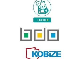 Sprawozdania obsługa BDO,  outsourcing, KOBIZE, LUCID, OCHRO
