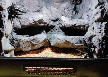 Terrarium dla agamy brodatej żółwia greckiego gekona lamparciego