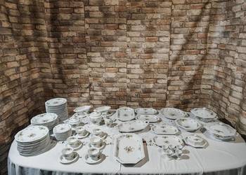 Rosenthal Maria Moosrose duży zestaw porcelany