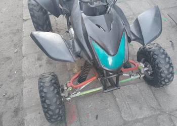 Quad 110 automat