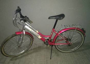 Damka 24 cale