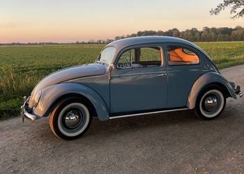 Volkswagen Garbus Oval 1954