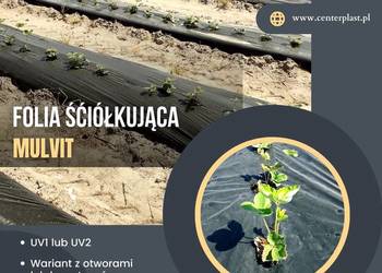 FOLIA  ŚCIÓLKOWA W UPRAWACH ZAGONOWYCH MULVIT
