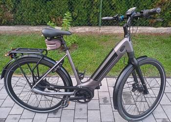 Rower Gazelle Ultimate C380 Bosch