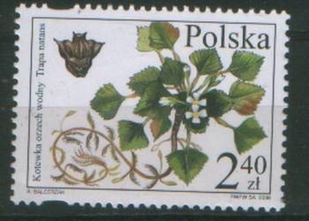 Zn. Fi 4083 ** 2006