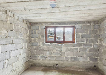 Dom z budynkiem gospodarczym Dzianisz