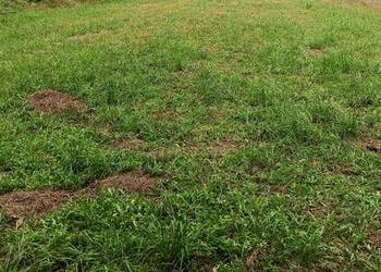 Sprzedam działkę rekreacyjną