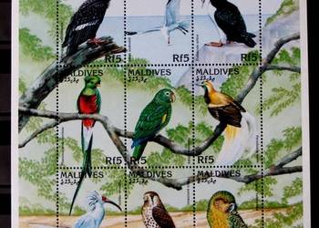 Tanzania ( fauna ptaki )