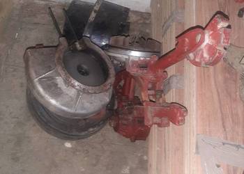 Glebogryzarka mrowka