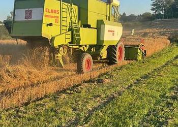 Sprzedam Claas dominator 80