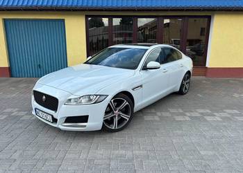 Jaguar XF 2.0d 2015r. Biała Perła ! OKAZJA !!!