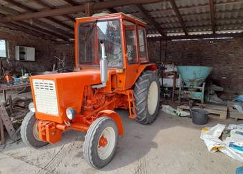 WŁADIMIREC T 25A2 - zarejestrowany z rewersem