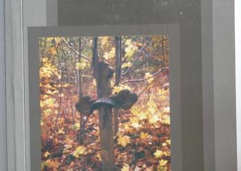 Przemijanie - Bonowska Magdalena