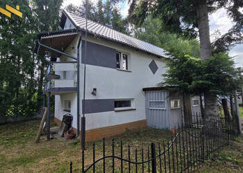 Siedlisko ze stawem w Wiśniewie