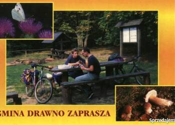 POCZTÓWKA - ZACHODNIOPOMORSKIE - DRAWNO GMINA ZAPRASZA