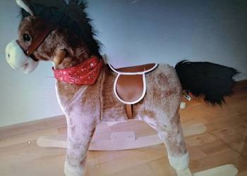 Konik bujany dla dziecka