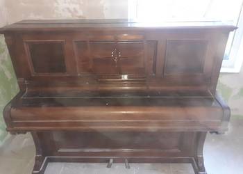 Pianino