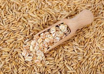 Zboże, ziarno, mieszanka zbożowa, owies+ jęczmień.