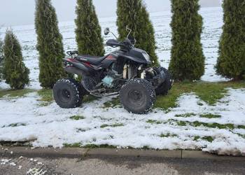 Quad atv bashan 250s