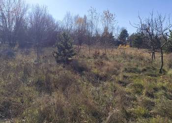 Atrakcyjna działka rolna 1604.00 m2 - Narew