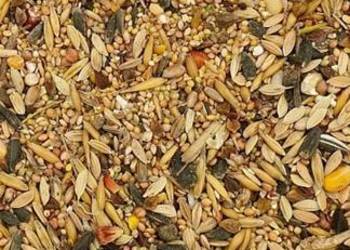 Karma dla dzikich ptaków  20 kg