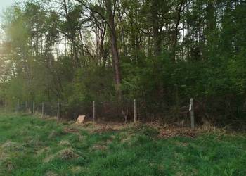 Sprzedam przepiękną działkę pod lasem