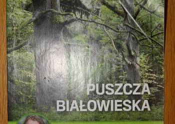 Puszcza Białowieska - mapa turystyczna