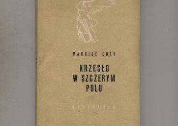 Krzesło w szczerym polu - Cury