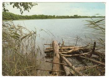 WOLIŃSKI PARK NORODOWY JEZIORO CZAJCZE WOLIN