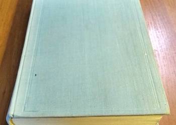 Officina ferraria ábo Hutá i wárstát z kuźniámi szláchetnego  Roździeński