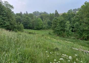 Kotlina Kłodzka. Boboszów działka 2,08ha w górach przy granicy z Czechami. Kotlina Kłodzka. Boboszów działka 2,08ha w górach przy granicy z Czechami.