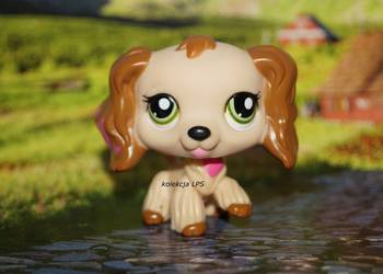 LPS Littlest Pet Shop spaniel #1963 oryginalny pop oryginał Nintendo