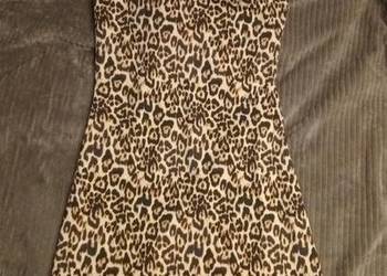 Sukienka Sinsay rozmiar xs