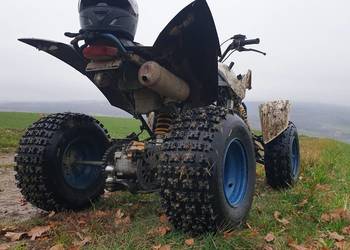 Suzuki SMC QUADZILLA 400