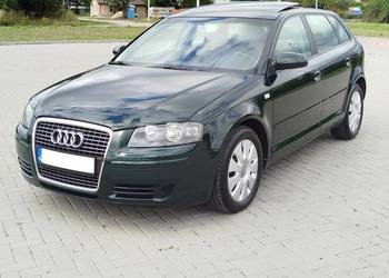 Audi a3 8p 1.6 Benzyna Rok 2006 wersja 5 drzwi