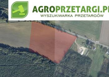 Dzierżawa 4,64 ha gruntu rolnego