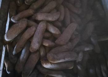 Sprzedam burak czerwony zdrowy na paszę 0.25zl/kg