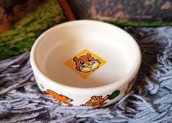 Trixie Miska Ceramiczna Dla Chomika Gryzoni Kolorowa 80 ml