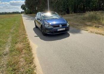 Volkswagen Golf VII 1.6 TDI 115 KM