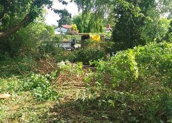 Wycinka Drzew,,Sprzatanie dzialek,,koszenie traw,rozbiorki