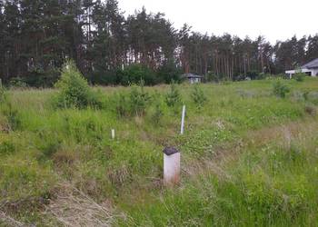 DZIAŁKA BUDOWLANA PIŁA DOLASZEWO