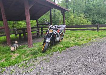 Honda CBR 600 OC i PT sprawna 100%
