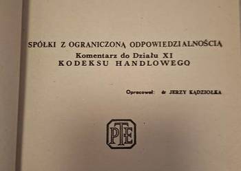 Zarządzanie przedsiębiorstwem. Vademecum. 1 wydanie. Bardzo niski nakład 19