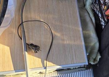 Lampa do stołu roboczego