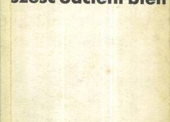 SZEŚĆ ODCIENI BIELI - KRALL HANNA