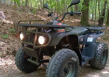 Quad Motortek 175