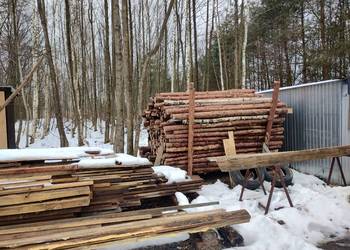 Stemple budowlane drewniane