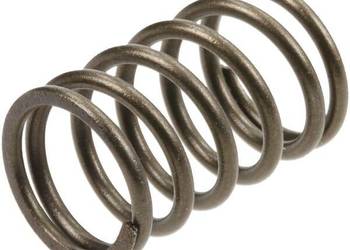 Zawór sprężynowy 590532