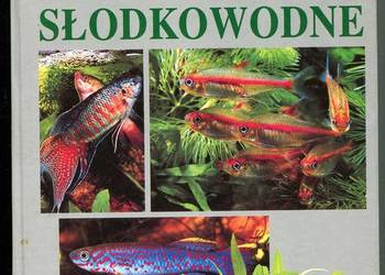 Akwarium słodkowodne